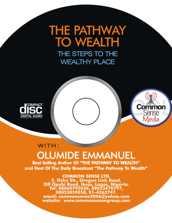 The Pathway to Wealth (mp3) cover
